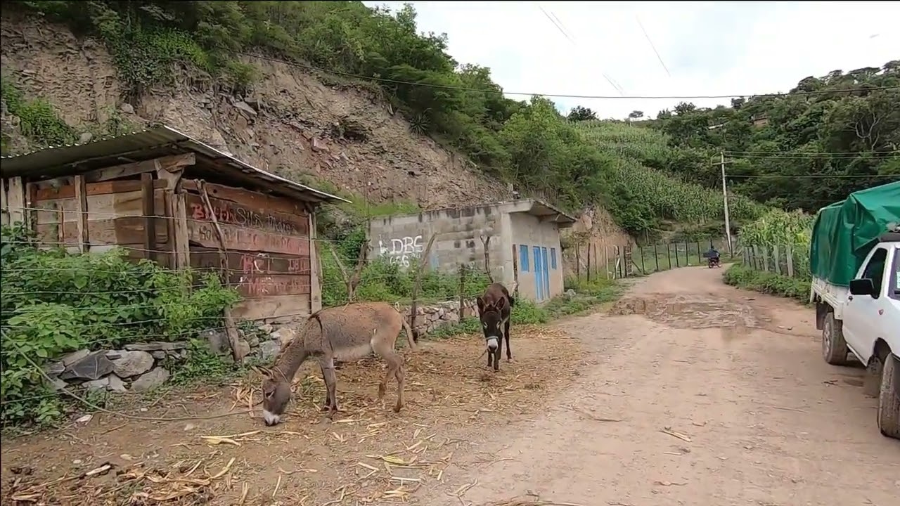 Cahuatache un nuevo video