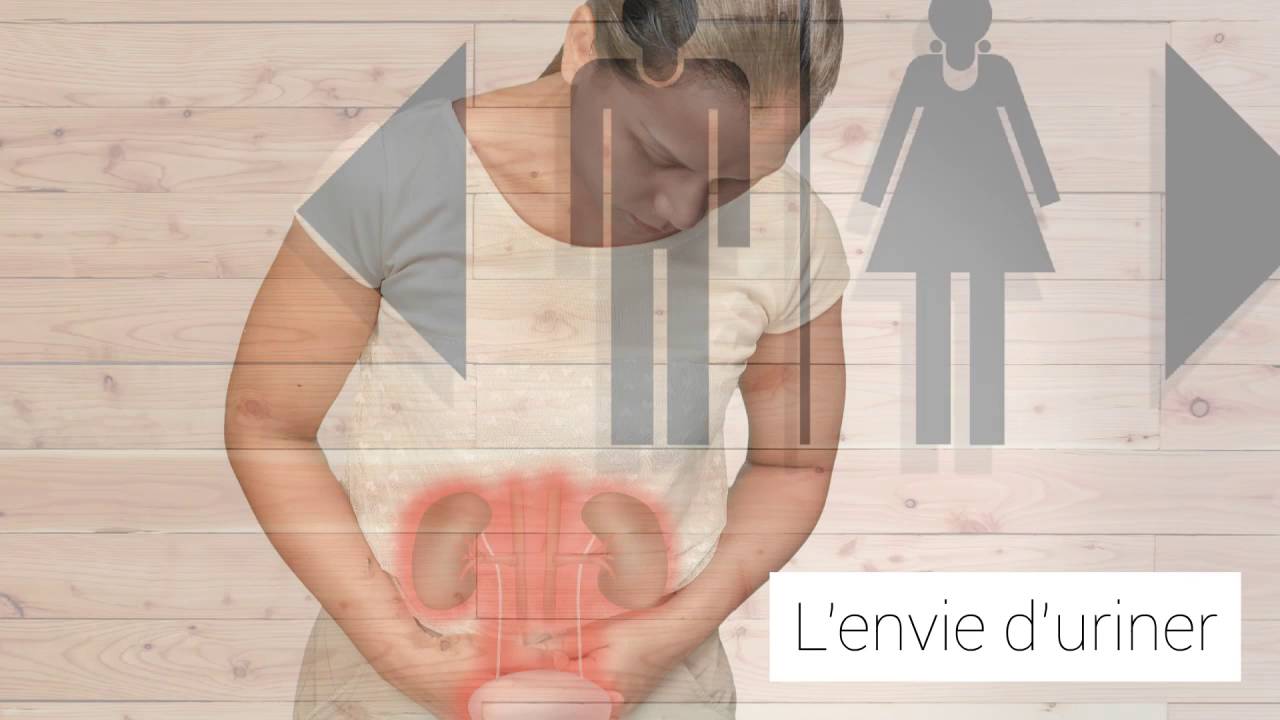 Comment fonctionne l’appareil urinaire ?