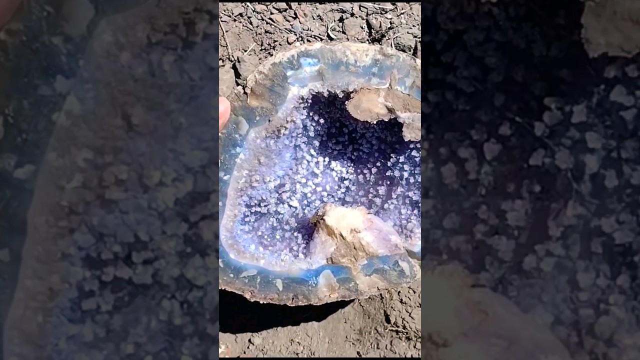 Amatista gigante! #amatistas #cristales #cuarzos #minerales #agatas #geodas #piedras #short