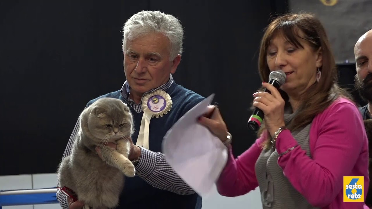 Mostra Felina - Firenze 24 25 marzo 2018