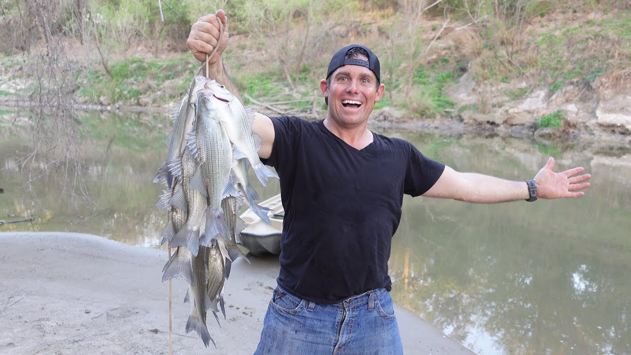 White Bass Run Has Officially Started! I Found Them in the Current! So Much FUN!!!