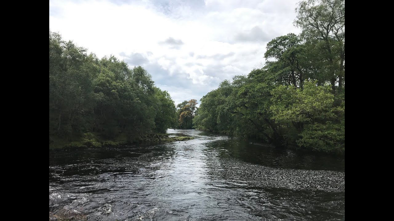 Glentrool  to Holm Bridge circular - Galloway Forest Park July 2020