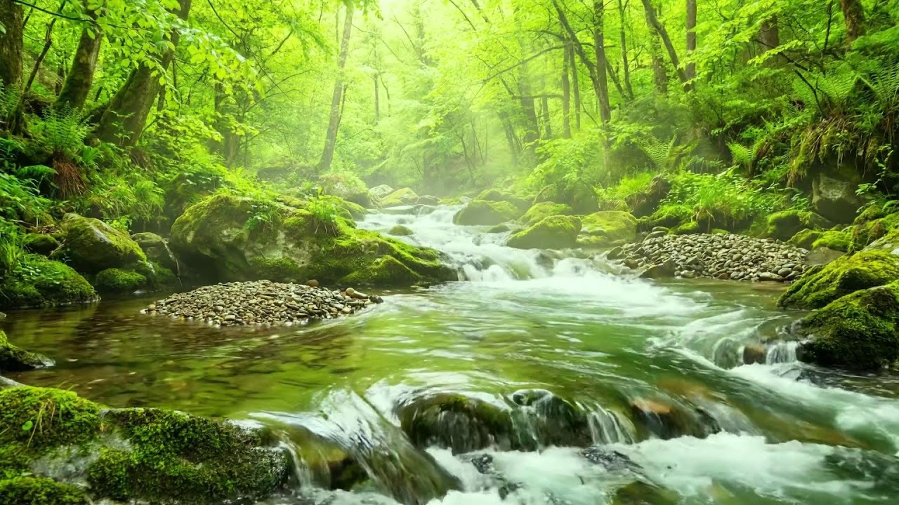 Relax in Nature, Gentle River Flow and Birds Singing for Calm, Focus, and Restful Sleep