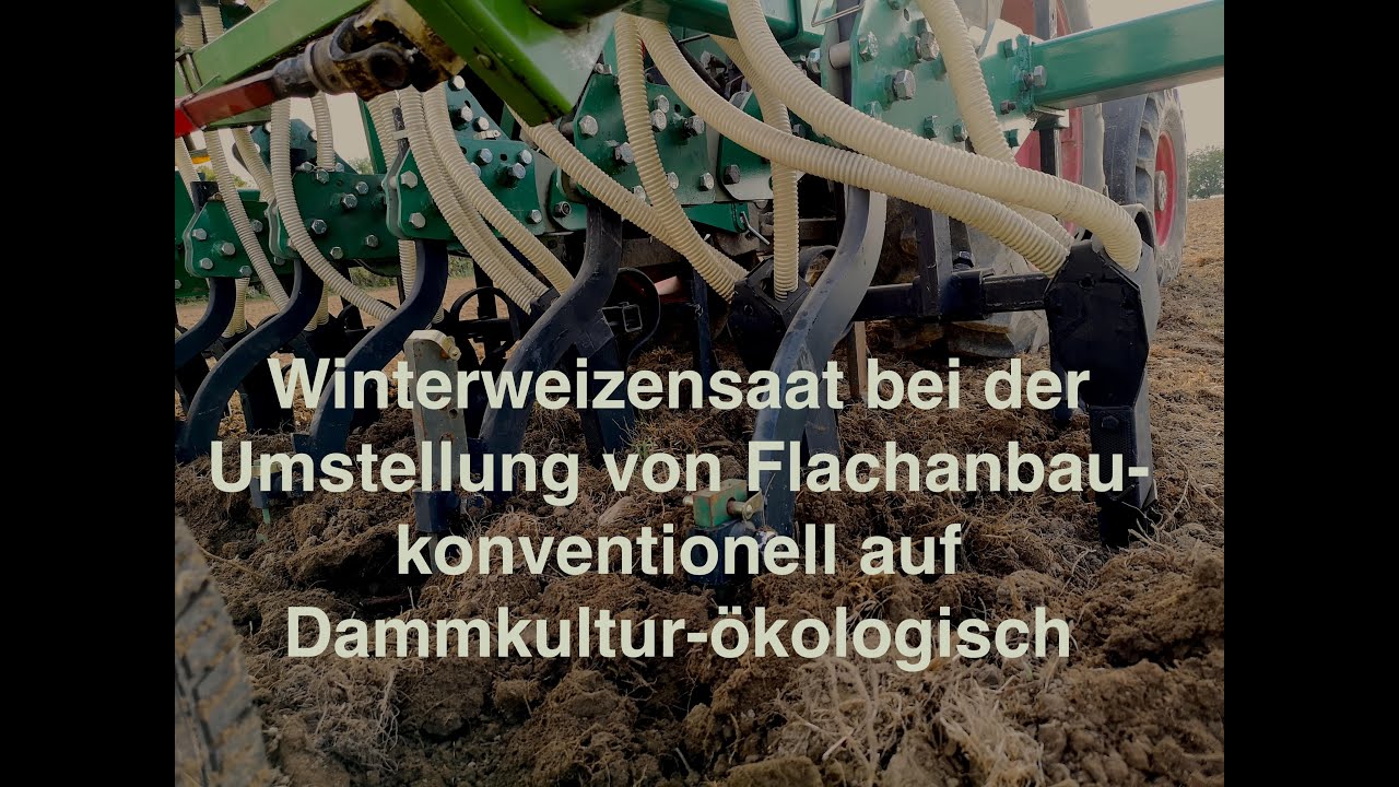 Winterweizen Saat Umstellung von Flachanbau konventionell auf Dammkultur &ouml;kologisch