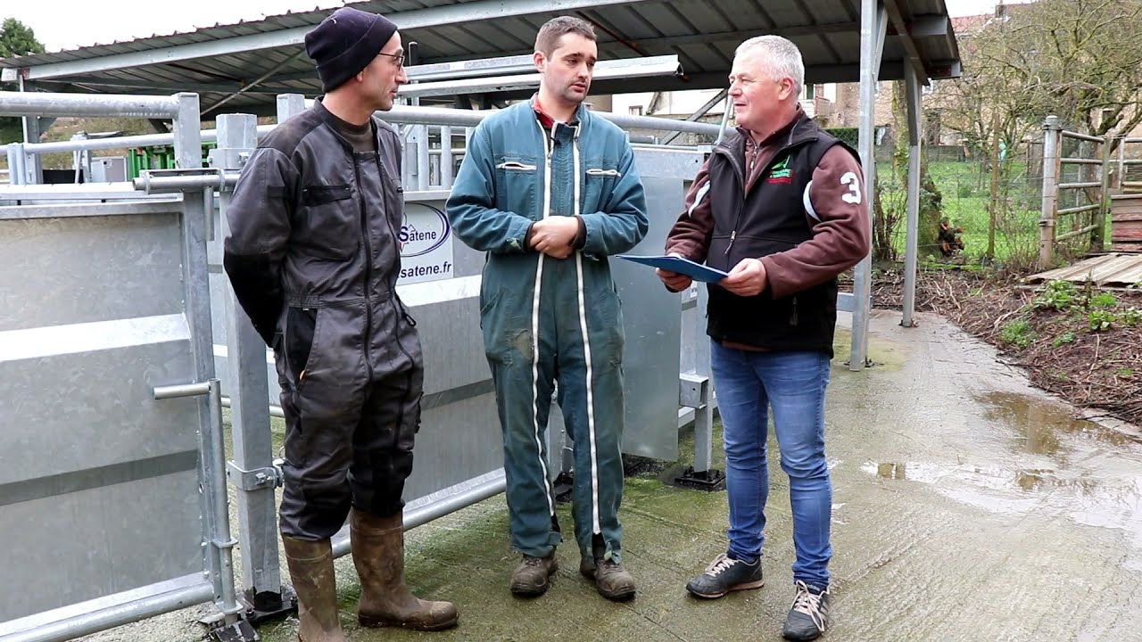 Partage de pratiques : installations de contention animale en élevage bovin en Meurthe-et-Moselle #2
