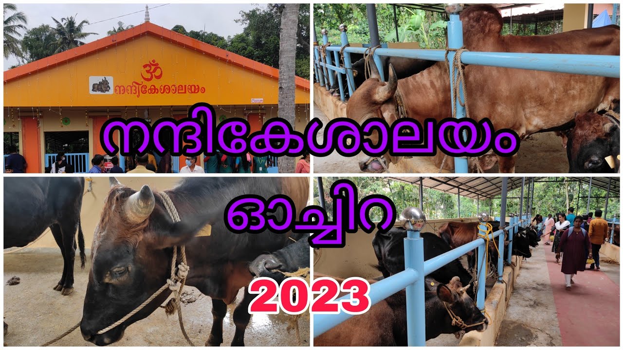 Nandhikesalayam Ochira