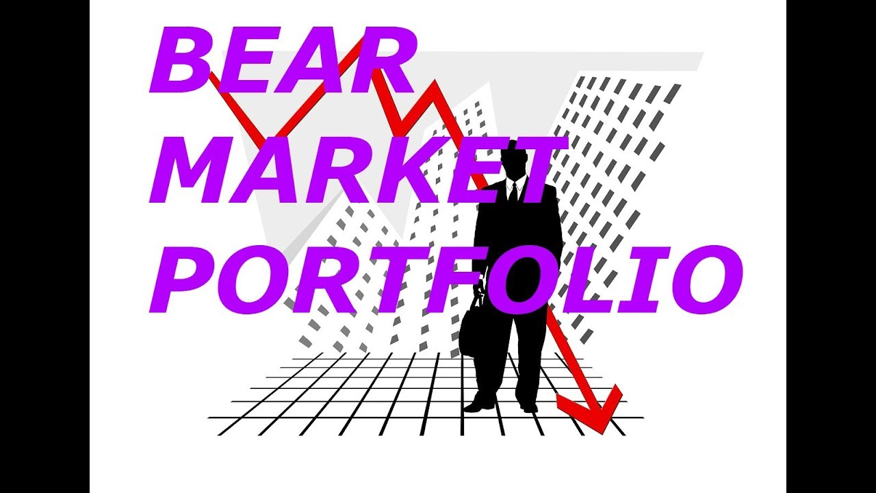 WHY PORTFOLIO APPROACH IS GOOD FOR THIS MARKET? HINDI