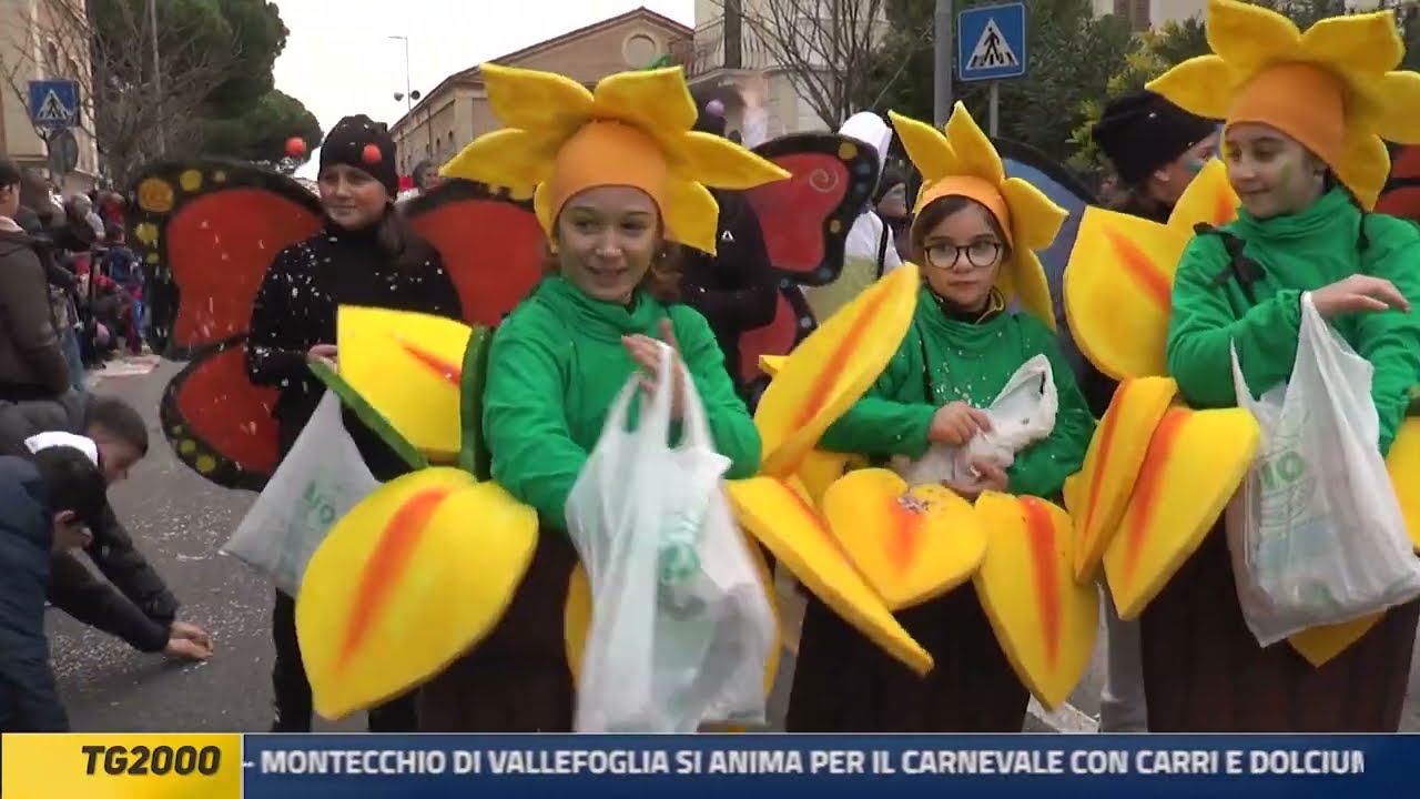 TG2000 16 febbraio 2026