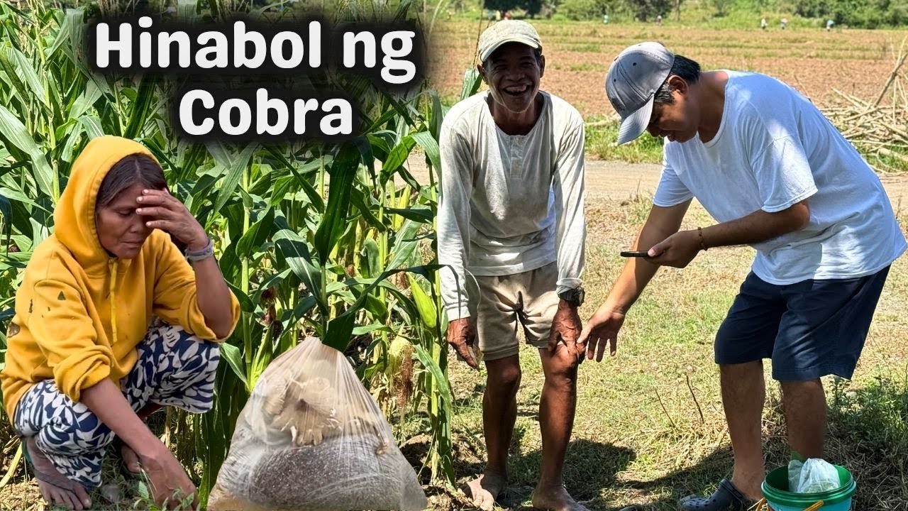 Pinuntahan namin ang Tatay namin at Nahulog si Carlos sa Bangin hinabol ng Cobra | PHILIPPINES LIFE