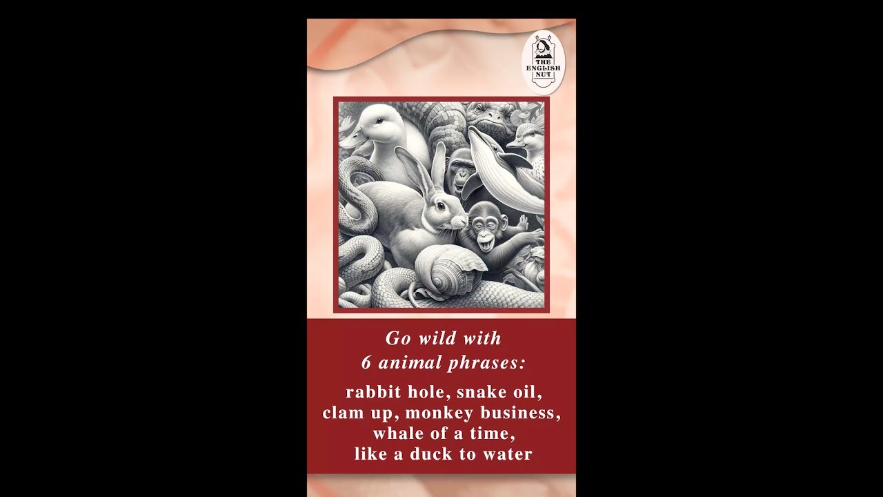 Go wild with 6 animal phrases!