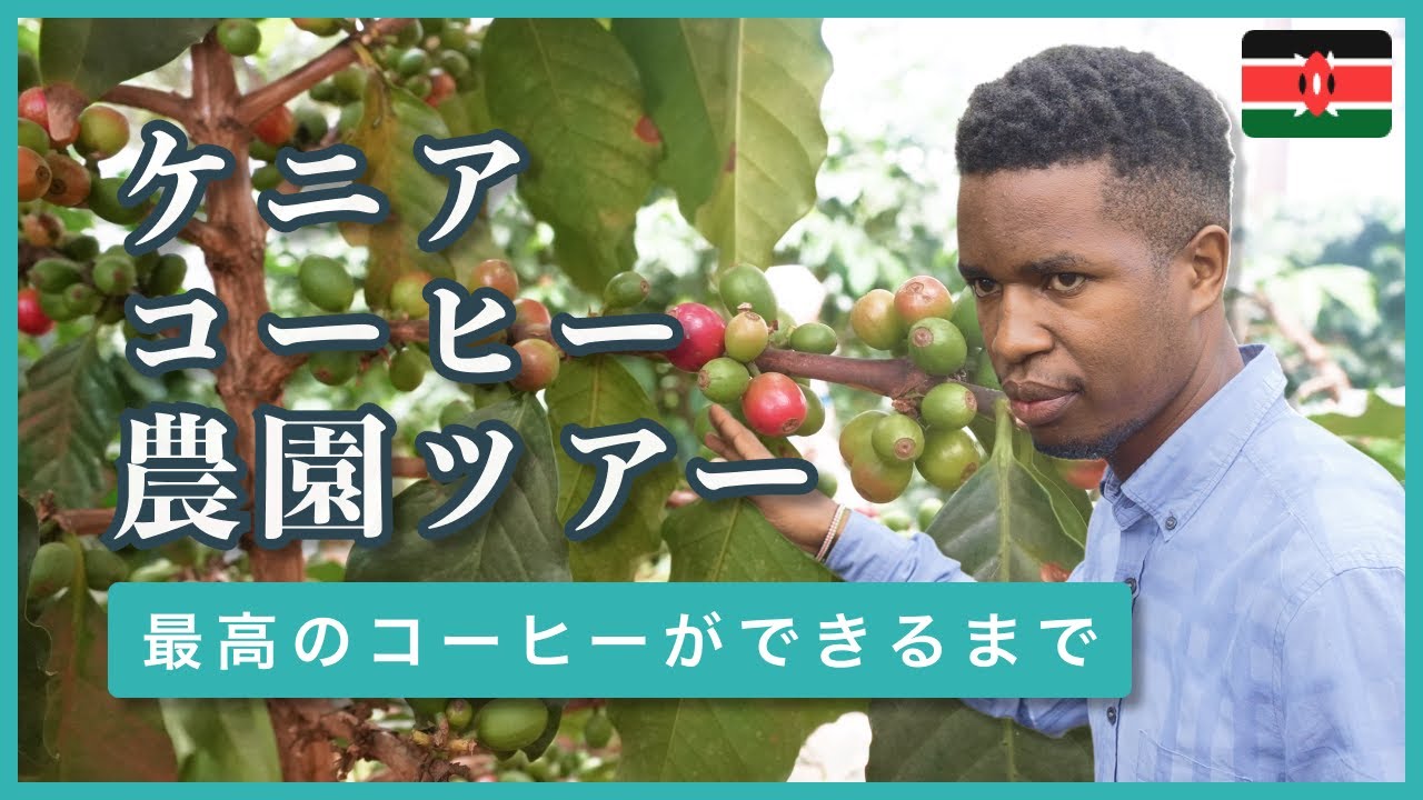 【コーヒー農園ツアー】最高のコーヒー1杯ができるまで@ケニア