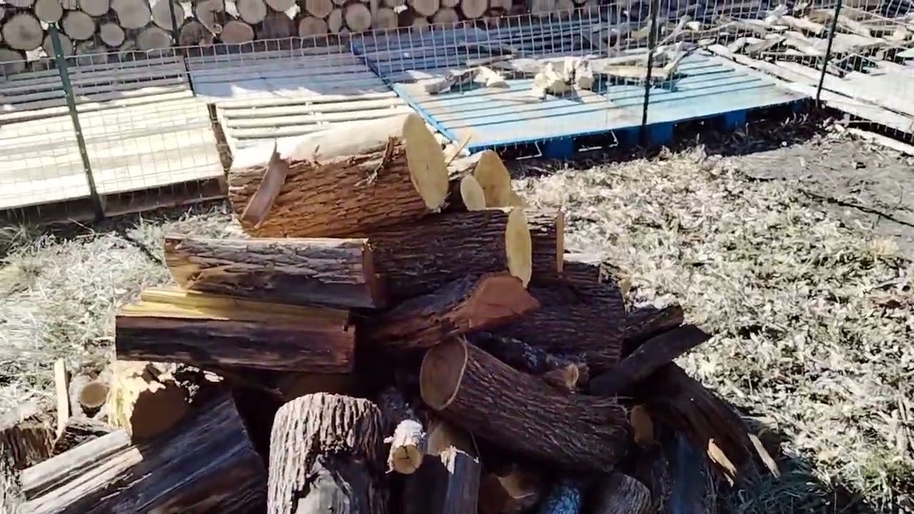 Woodyard tour winter 2025