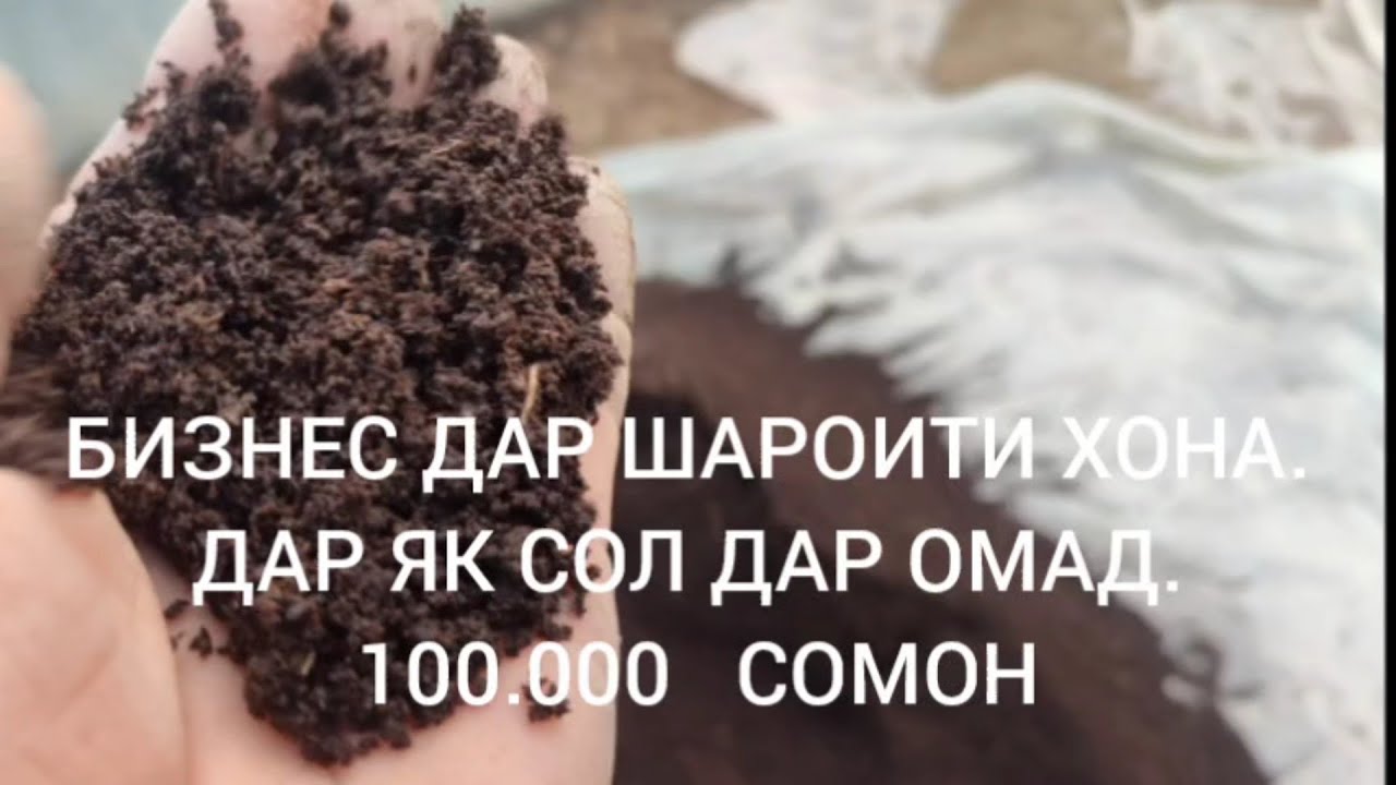 Бизнес дар шароити хона. Дар як сол 100.000сомон даромад 900172225