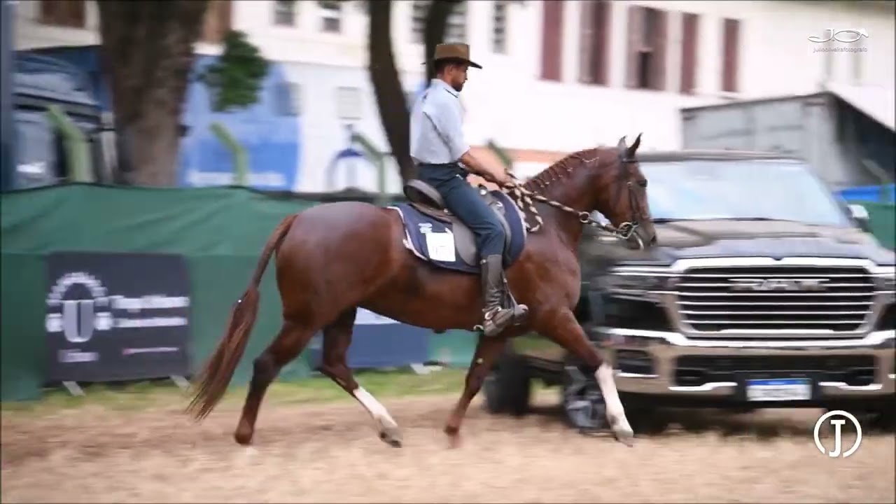 Pipa da Jauaperi (T.E.)