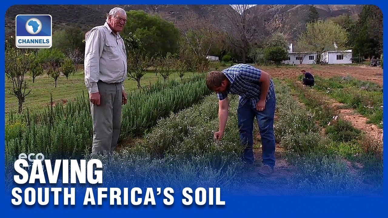South African Farmers Develop Regenerative Practices To Save Degrading Soil