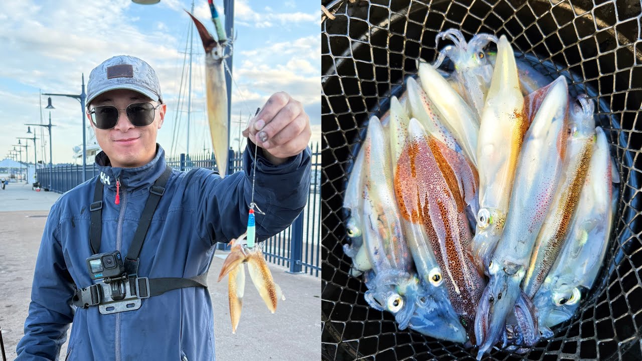 Enjoy the Fun of Daytime Squid Fishing in Summer - 07/2025 | How to Fish Squid From The Pier in PNW