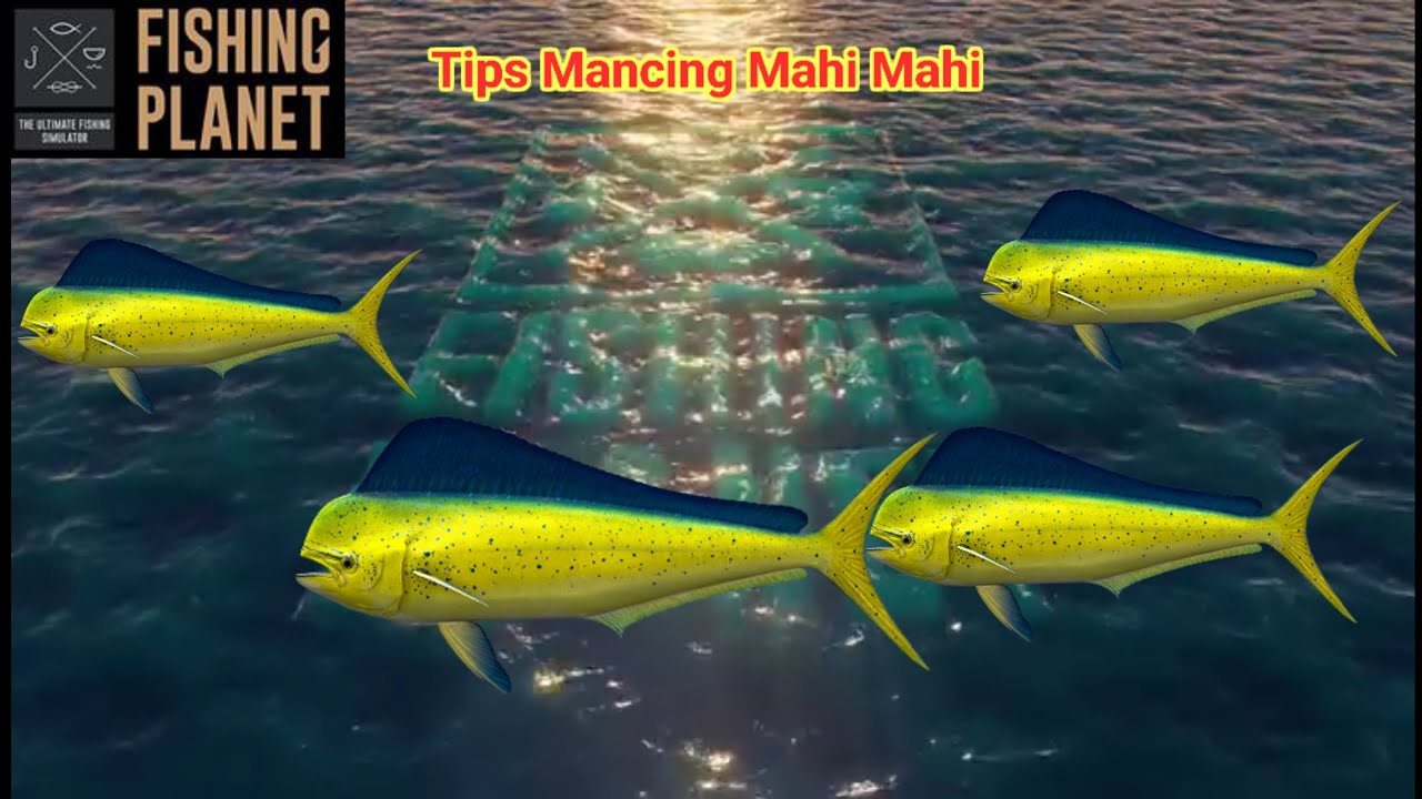 Echo Sounder : Turen- Up Mission Trik Mancing Mahi Mahi Kaiji no ri | Fishing planet