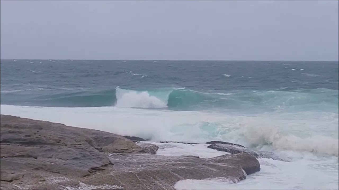 Surfers Cape Solander 18 January 2025