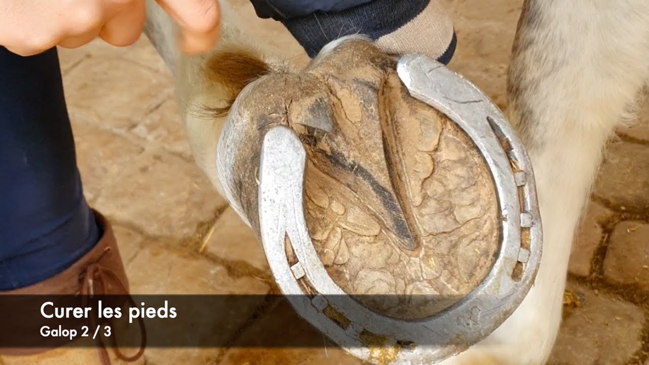 LES TUTOS EPISODE 6 : CURER LES PIEDS
