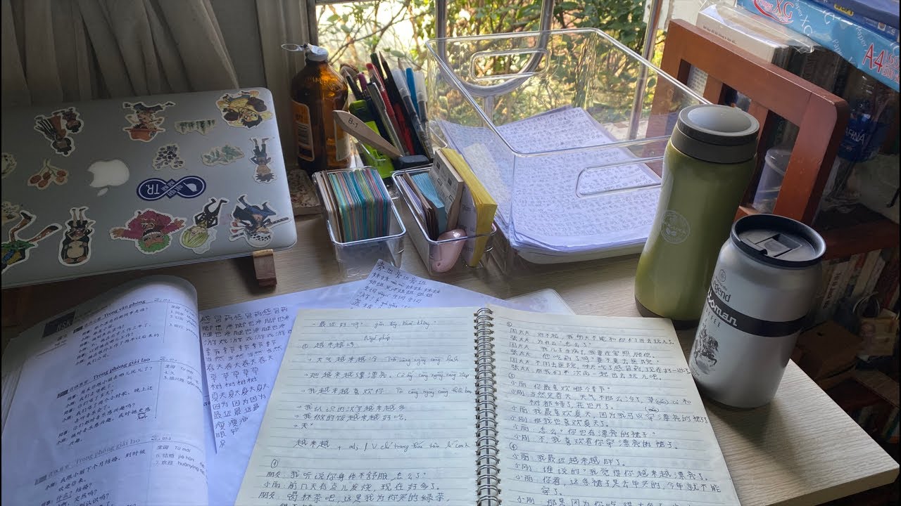 HỌC 8 TIẾNG CÙNG MÌNH NHA l STUDY WITH ME LIVE l POMODORO l DEEP FOCUS