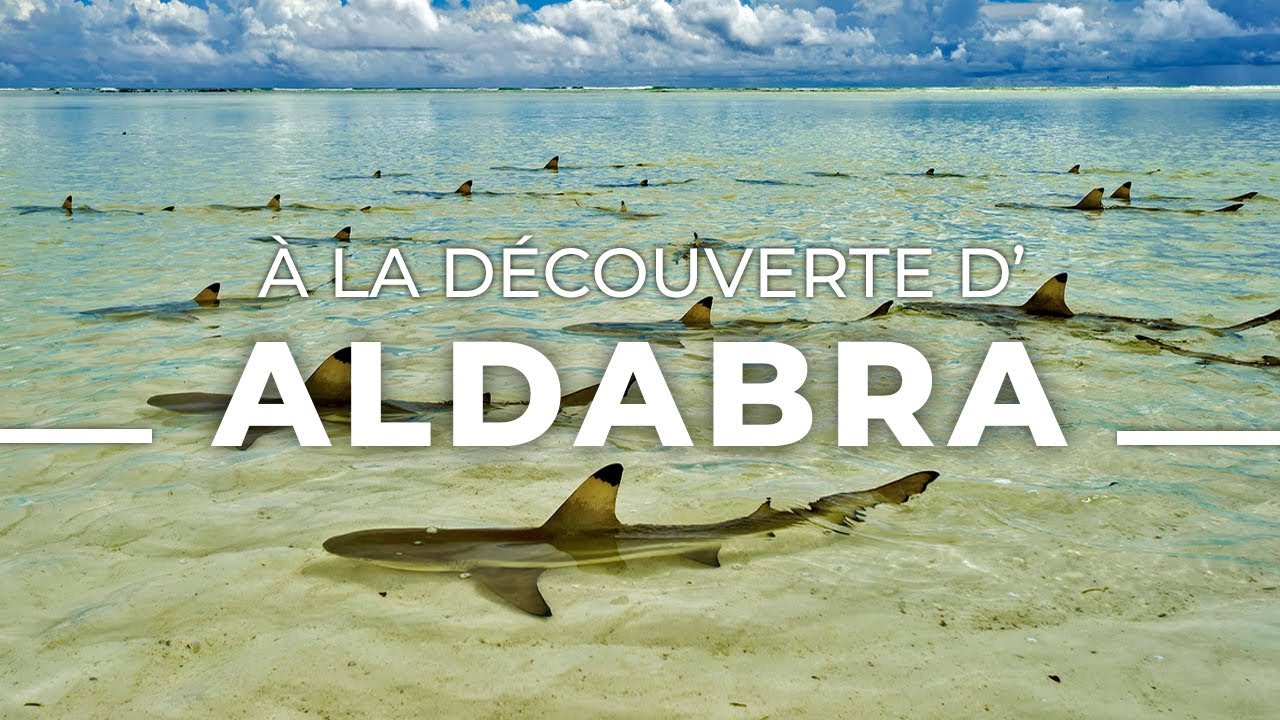 A la d&eacute;couverte d'Aldabra - Documentaire
