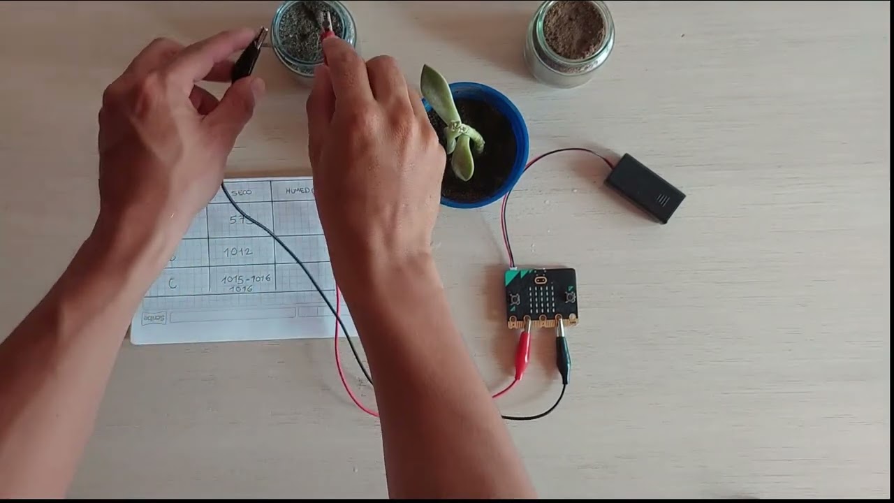 Detector de HUMEDAD de una planta| Proyecto microbit