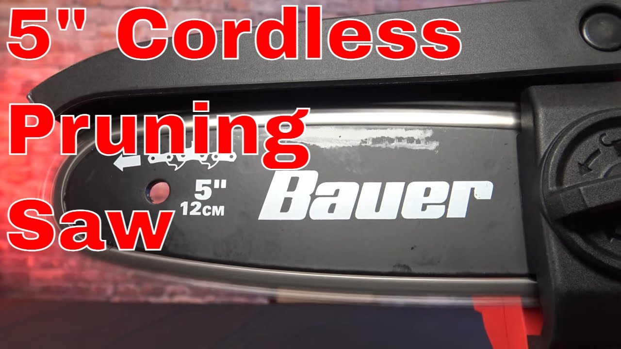 Bauer 5