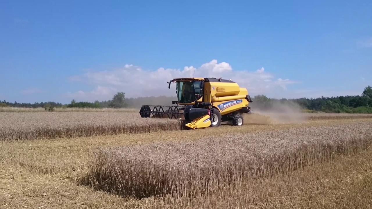 New Holland TC 5.70 czyli Żniwa 2016