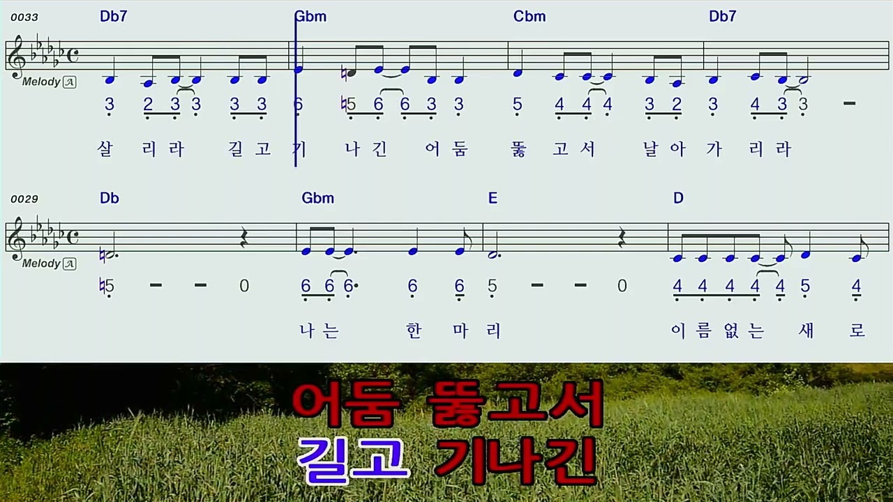 이름없는새♡F#mA손현희하모니카숫자악보MR