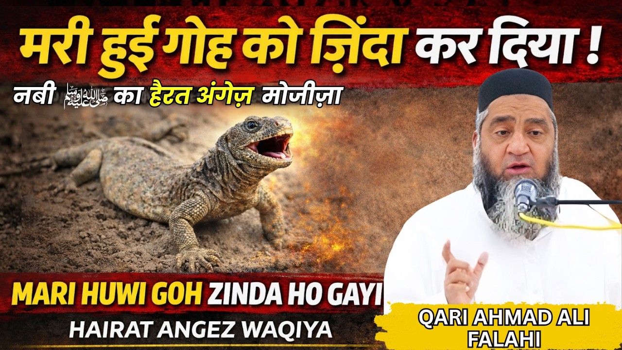 Ek Mari Hui Go Ka Hairat Angez Wakia By Qari Ahmed Ali Falahi Bayan #qariahmadalibayan #bayan2026
