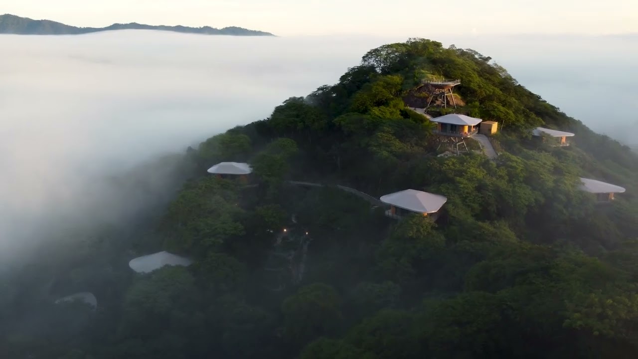 A Day in the Suitree Experience: Live in Stillness from Morning to Night