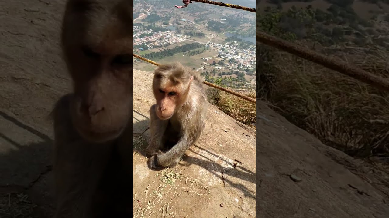 Kabbalamma Temple Travel Vlog
