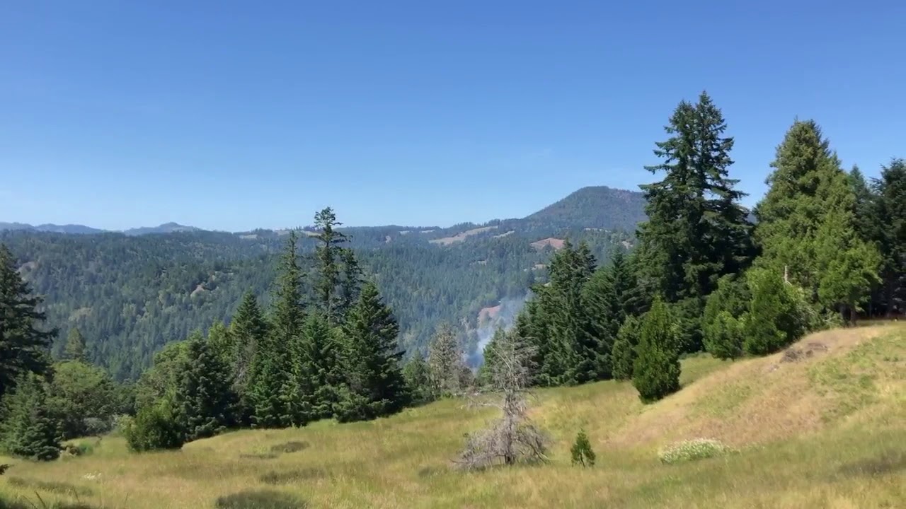 Plane Over the Ruby Fire West of Redway.