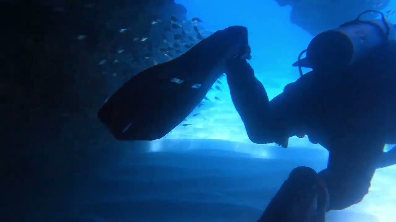 Roatan - Cave Dive With Moray Eel