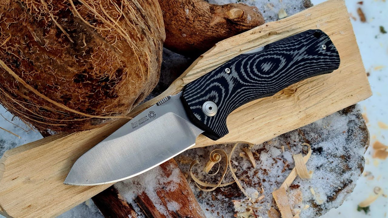 TM1 LionSteel test.