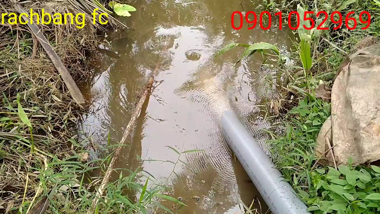máy bơm nước 5.5hp bơm lên vườn cam nhìn ghiền quá (đặt biệt Sài chân vịt thái lan)