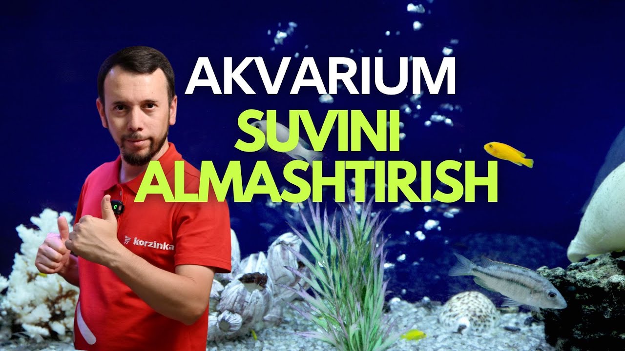 Akvarium suvini almashtirish