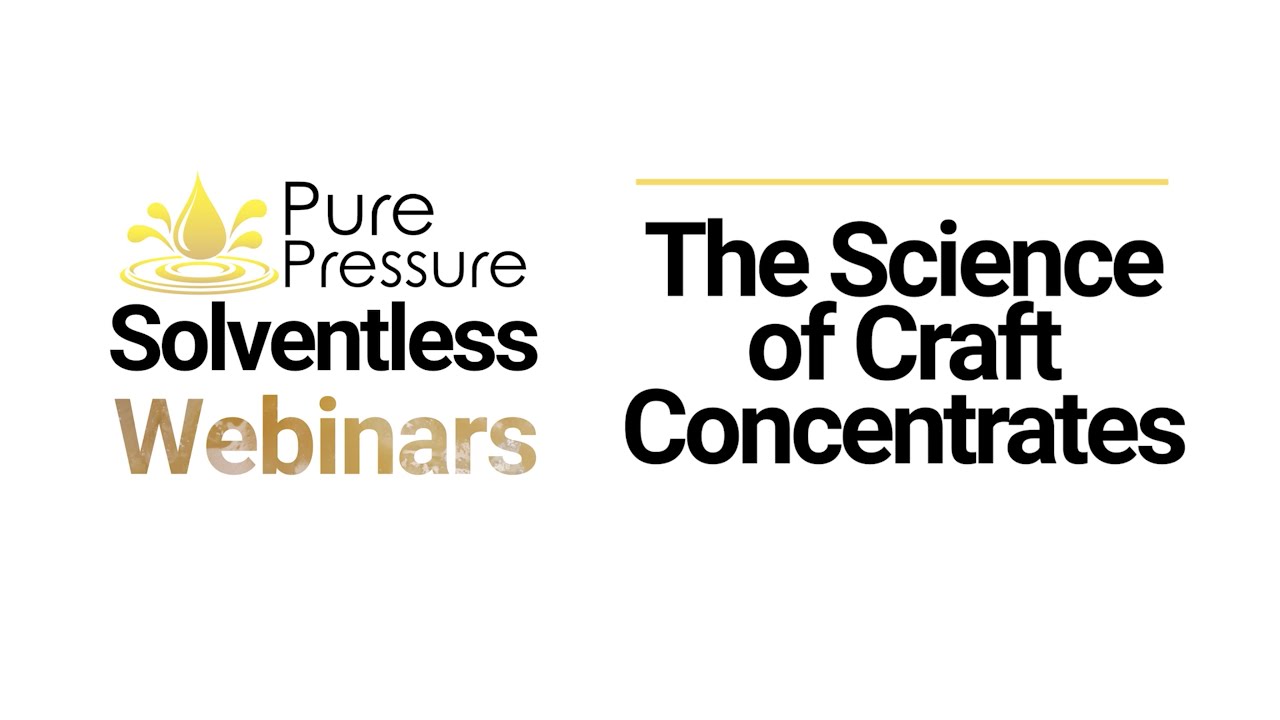 Solventless Webinar: The Science of Craft Solventless Concentrates Explained