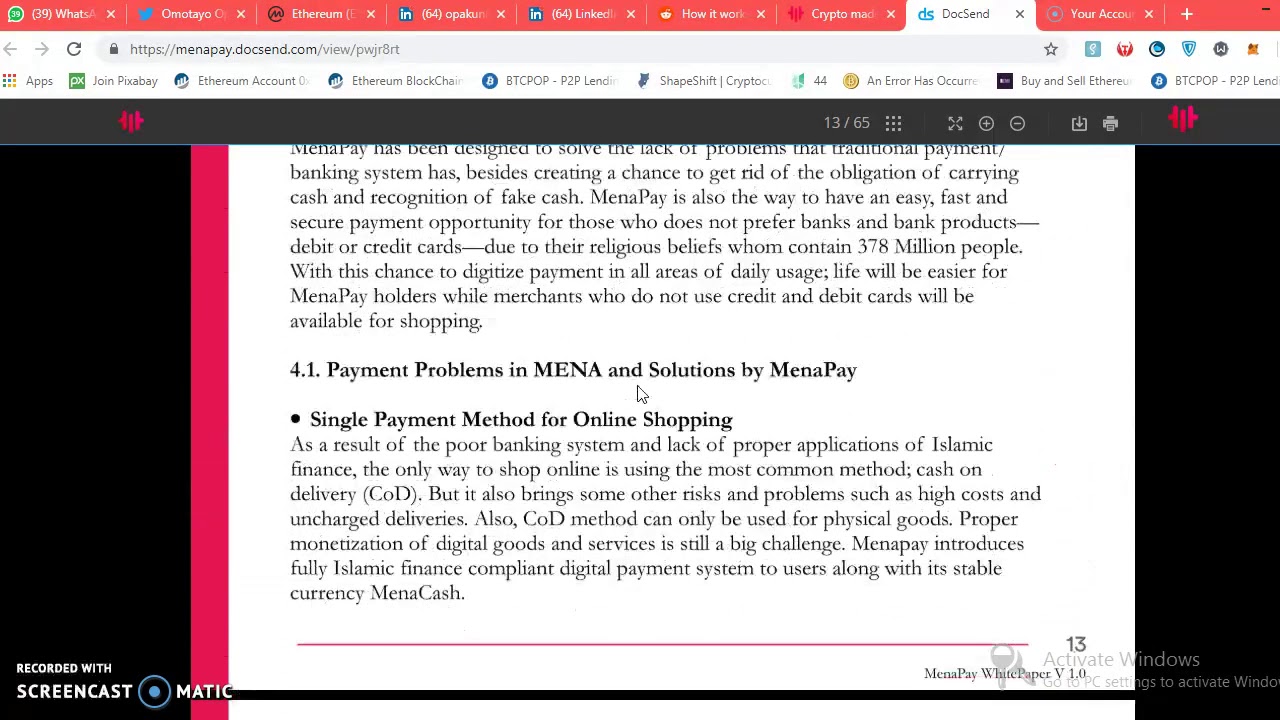 MenaPay's whitepaper