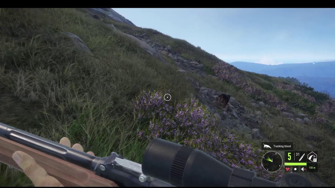 I am returning to hunting today by playing on Scotland. -the Hunter Call of the Wild