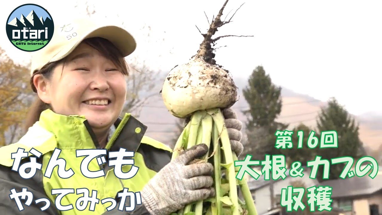 ゲレンデ徒歩１分！採れたて野菜の創作料理が魅力のホテルで大根＆カブの収穫体験！｜〇〇のなんでもやってみっか！第16回