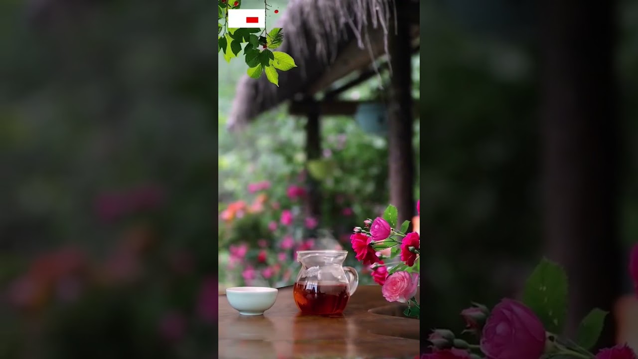 Instrumental tone in the morning tea time, Pleasant nature #music #soothing #nature #shorts #peace