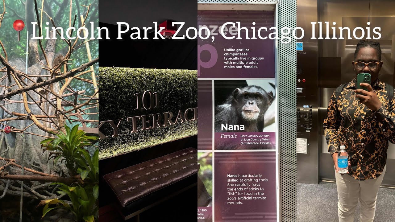 LINCOLN PARK ZOO, CHICAGO ILLINOIS | LAST FULL DAY IN CHICAGO | LIFE WITH KAHEEM
