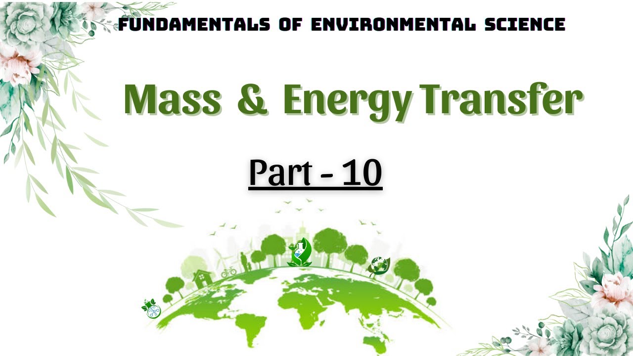 Mass & Energy Transfer | Concepts and Examples