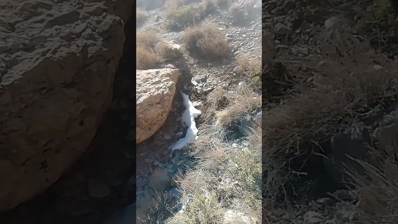 ۸ فوریهٔ ۲۰۲۶