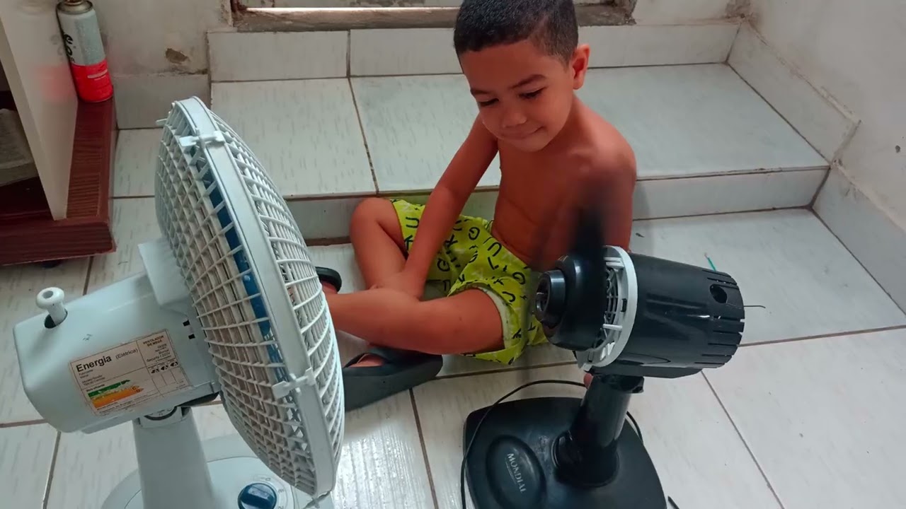 Ventilador black e white