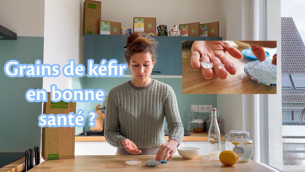 Comment reconnaitre les grains de kéfir en bonne santé ? 😋