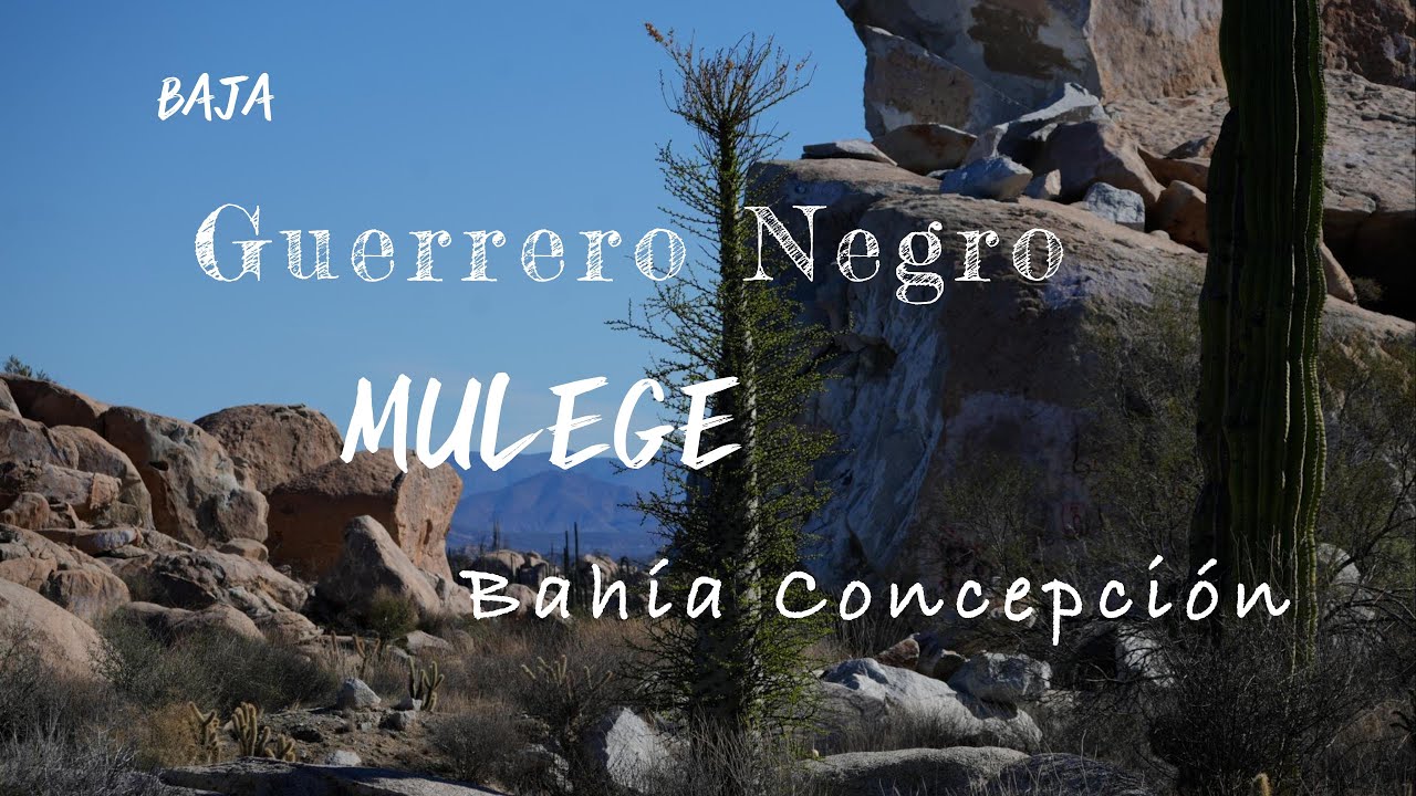 Baja : entre mer, désert et imprévus - Basse Californie** Mexique