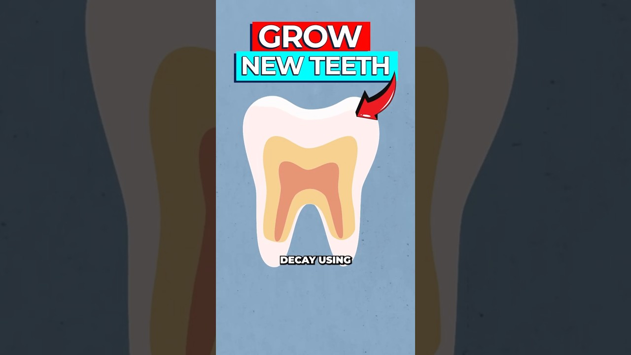 Scientists Discover How To Regrow Tooth Enamel