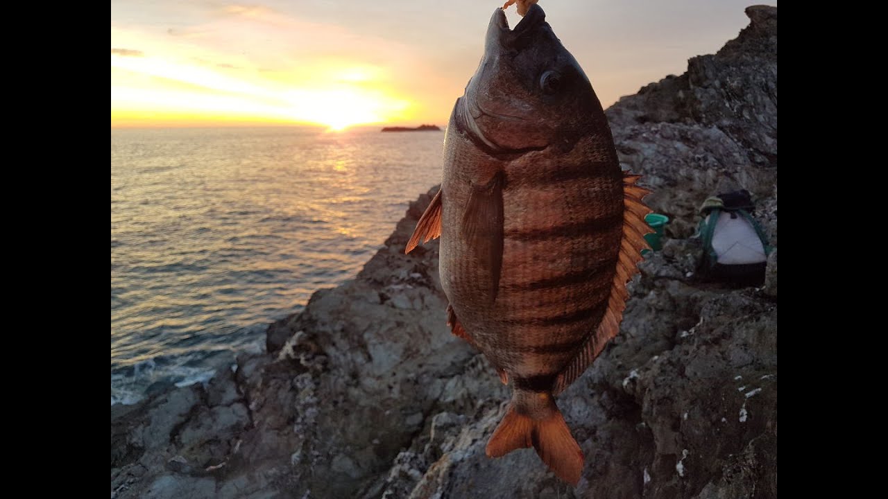 LA VRAIE P&Ecirc;CHE C'EST CA ! une canne, un bouchon , c'est parti !